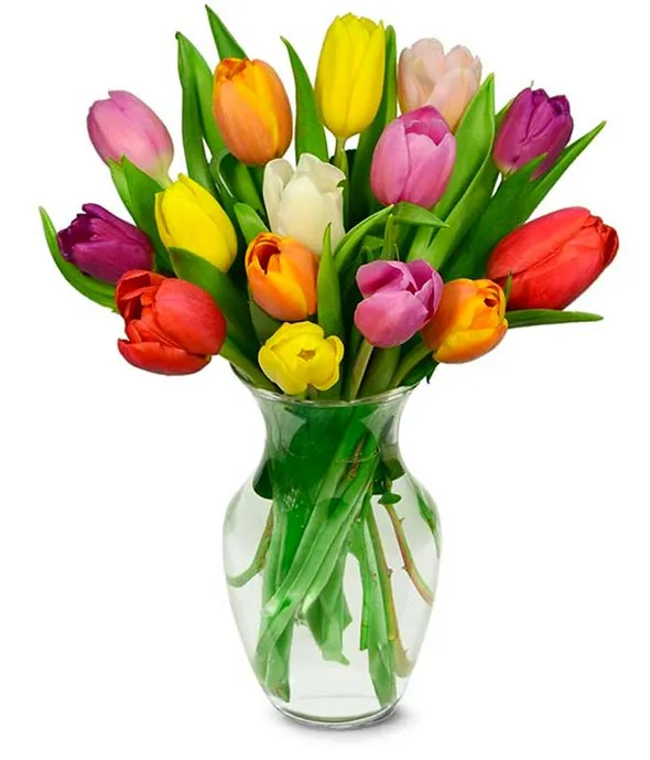 15 Mixed Tulips